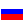 The Russian Federation flag